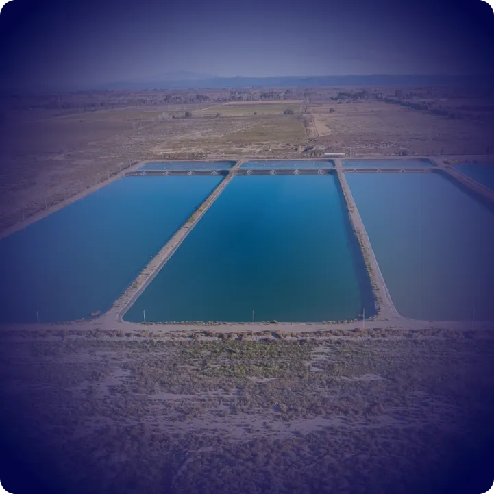 Tratamento de Efluentes